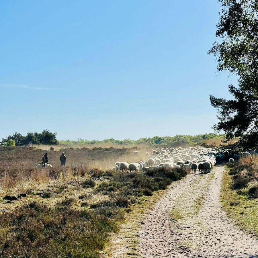 Luxe Vakantiehuis Huismus Veluwe Нунспет Екстериор снимка